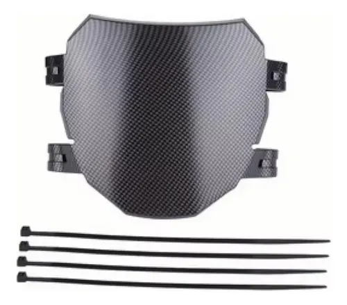 Number Plate Frontal Carbono — GT600 / GT2000